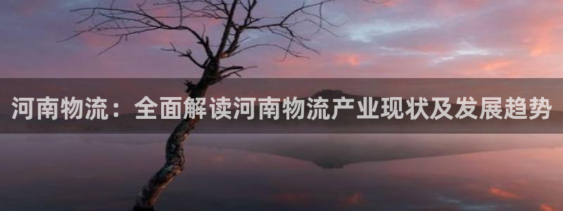 28圈代理落网：河南物流：全面解读河
