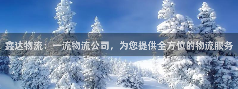 28圈加拿大技巧：鑫达物流：一流物流