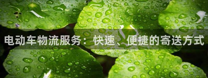 28圈p扣除是什么意思：电动车物流服