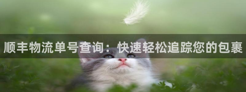 28圈账号注册：顺丰物流单号查询：快