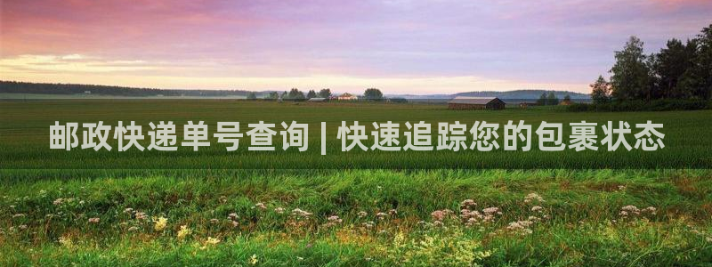 28圈注册：邮政快递单号查询 | 快