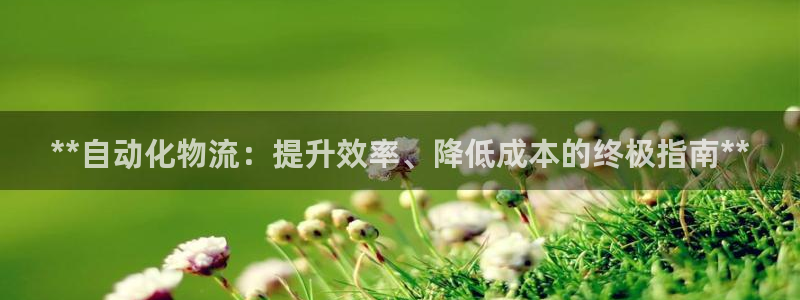 28圈登录网：**自动化物流：提升效