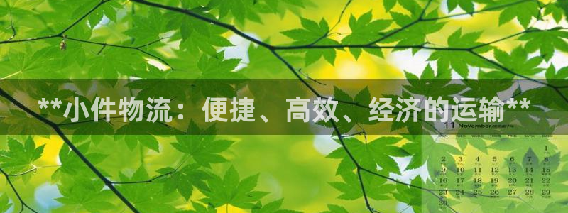 28圈cn