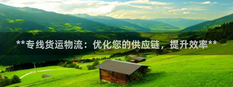 28圈注册教程：**专线货运物流：优