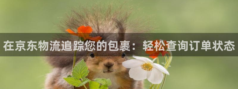 28圈加拿大pc预测：在京东物流追踪