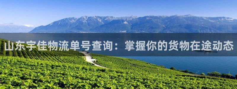 28圈分分28输了能不能退