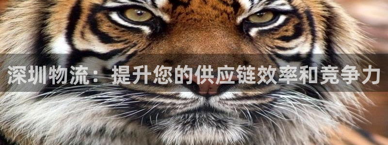 28圈圈助手