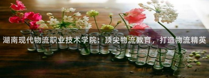 28圈.ccm正版