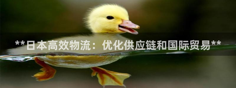 28圈大舞台