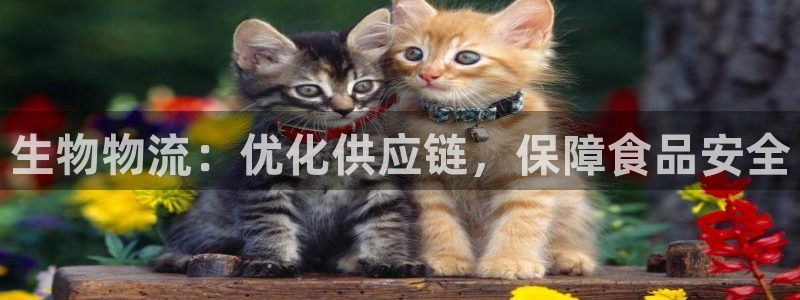 28圈网站怎么注册：生物物流：优化供