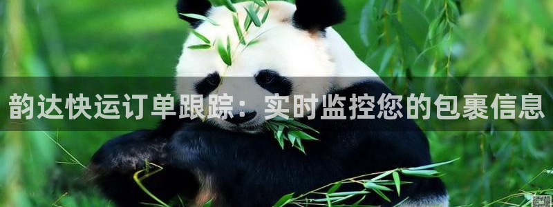 28圈官网开奖结果预测