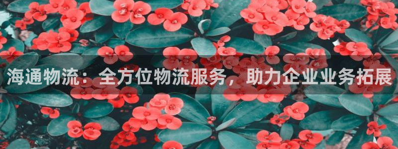 28圈预测网