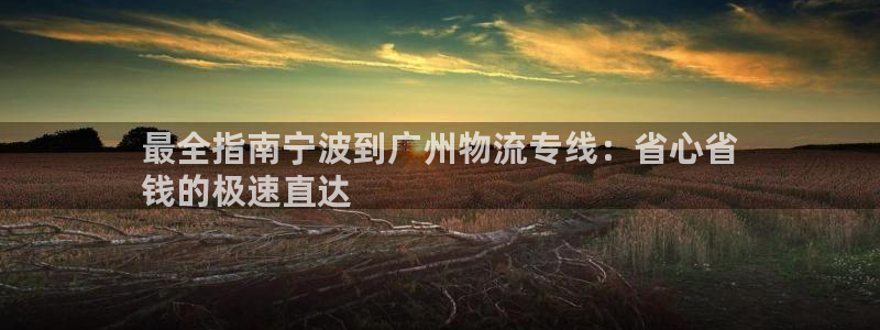 28圈官方版正版
