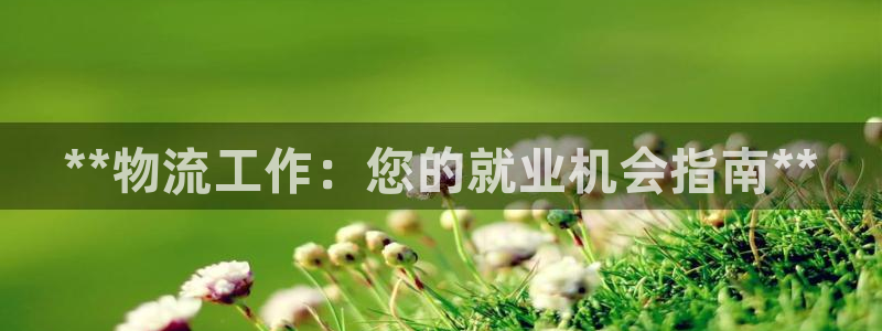28圈aPP退款