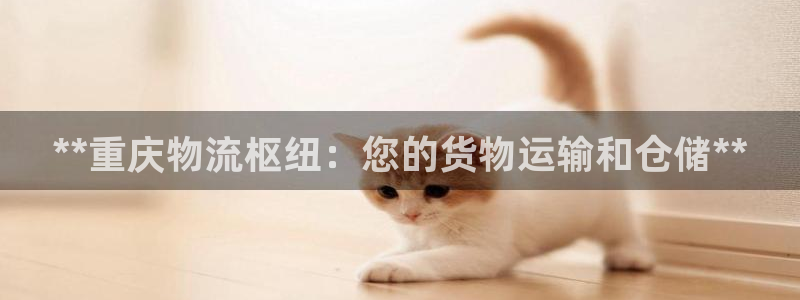 28圈h5链接