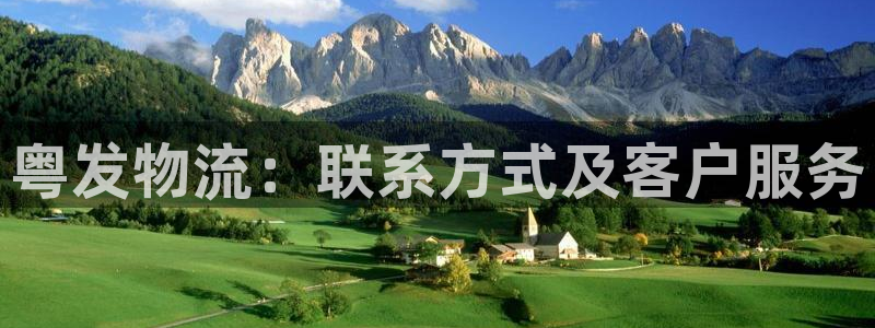 28圈大神预测