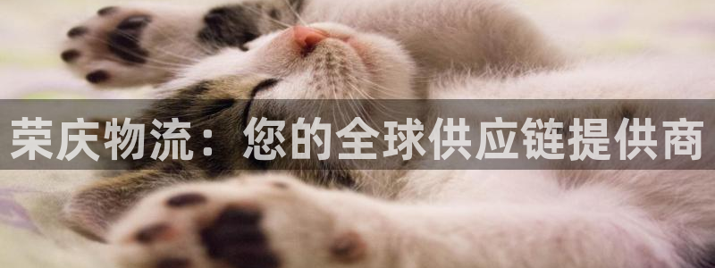 28圈农业银行是狗卡吗