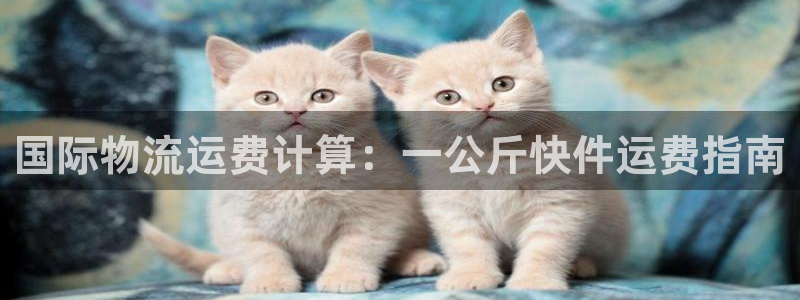 28圈预测