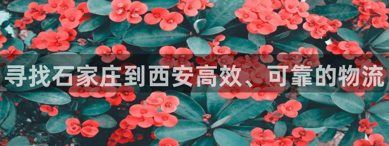 28圈人头费：寻找石家庄到西安高效、