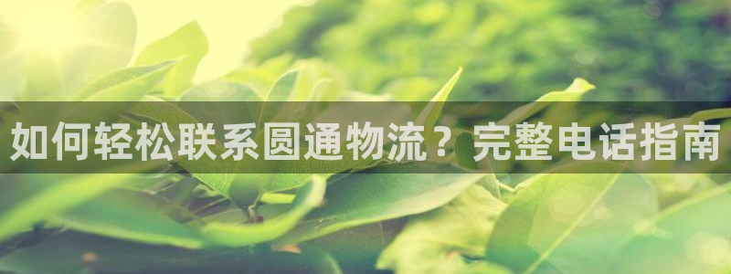 28圈注册网站多少：如何轻松联系圆通物流？完整电话指南