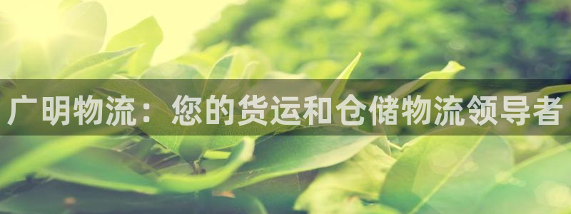 28圈怎么申请代理：广明物流：您的货运和仓储物流领导者