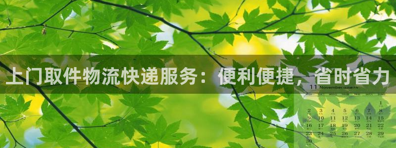 28圈充值不到账怎么回事：上门取件物流快递服务：便利便捷，省
