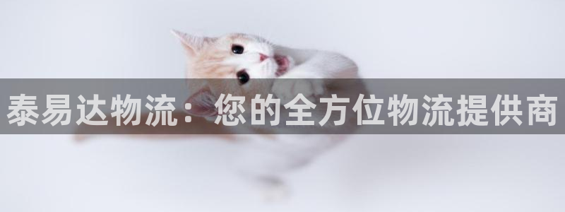 28圈app赢了500万：泰易达物流：您的全方位物流提供商