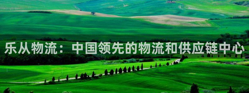 28圈取保：乐从物流：中国领先的物流和供应链中心